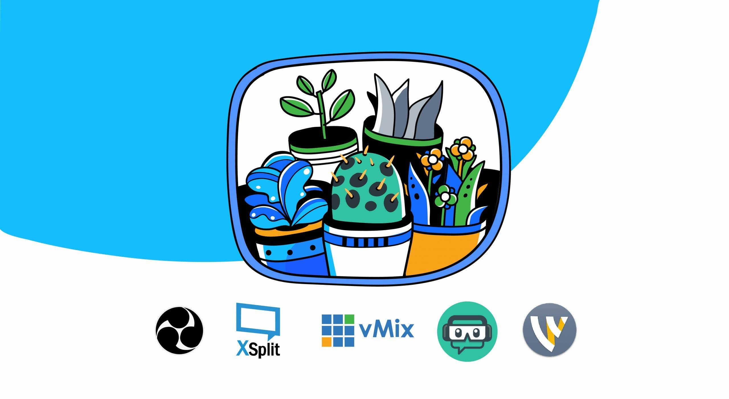 The Best Live Video Streaming Software for 2024 | Top 5 Comparison