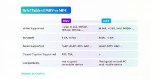 MKV vs MP4