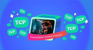 TCP Protocol