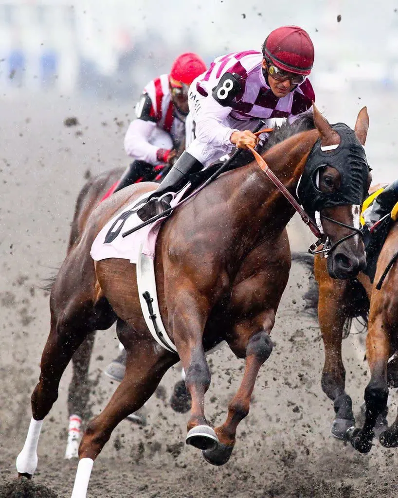Global equestrian event calendar